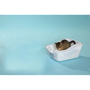 Cleany Cat Katzentoilette, Best.-Nr. 2333.00 Cleany Cat Katzentoilette