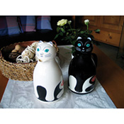 Isolierkanne Thermocat, Best.-Nr. 2481.00 Isolierkanne Thermocat