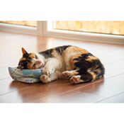 Spielkissen Annabelle, Best.-Nr. 2973.00 Spielkissen Annabelle