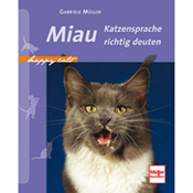 Buch Buch