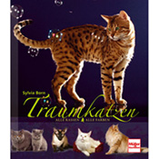 Buch Traumkatzen, Best.-Nr. 4346 Buch Traumkatzen