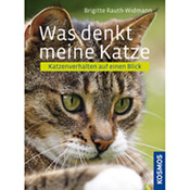 Buch Buch