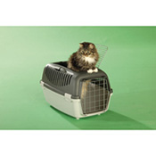 Box Super, Best.-Nr. 438.00 Box Super