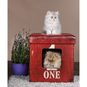 Wohnwürfel One, Best.-Nr. 4525.00 Wohnwürfel One