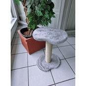 Modell Paule, Best.-Nr. 4550.00 Modell Paule