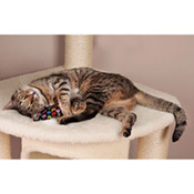 Catnip-Beutel Pfote, Best.-Nr. 4980.00 Catnip-Beutel Pfote