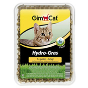 Katzengras, Best.-Nr. 57 Katzengras