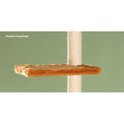 Liegeetage, 42 x 42 x 2 cm, Best.-Nr. 611.00 Liegeetage, 42 x 42 x 2 cm