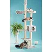 Modell Dana, Best.-Nr. 795.00 Modell Dana