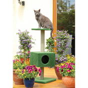 Terrasso Maggy, Best.-Nr. 8404 Terrasso Maggy