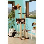 Modell Blue Moon, Best.-Nr. 9115.00 Modell Blue Moon